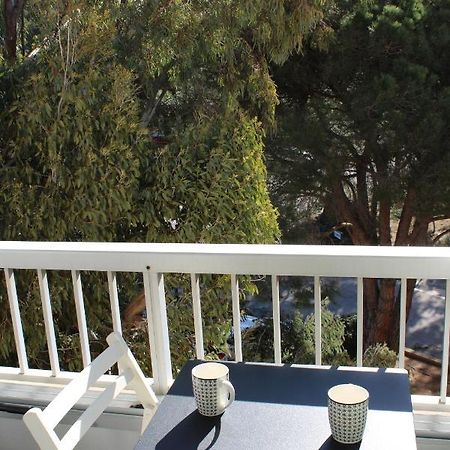 Studio L'Echappee Mandreenne Le Calme Entre Mer Et Foret Saint-Mandrier-sur-Mer Ngoại thất bức ảnh