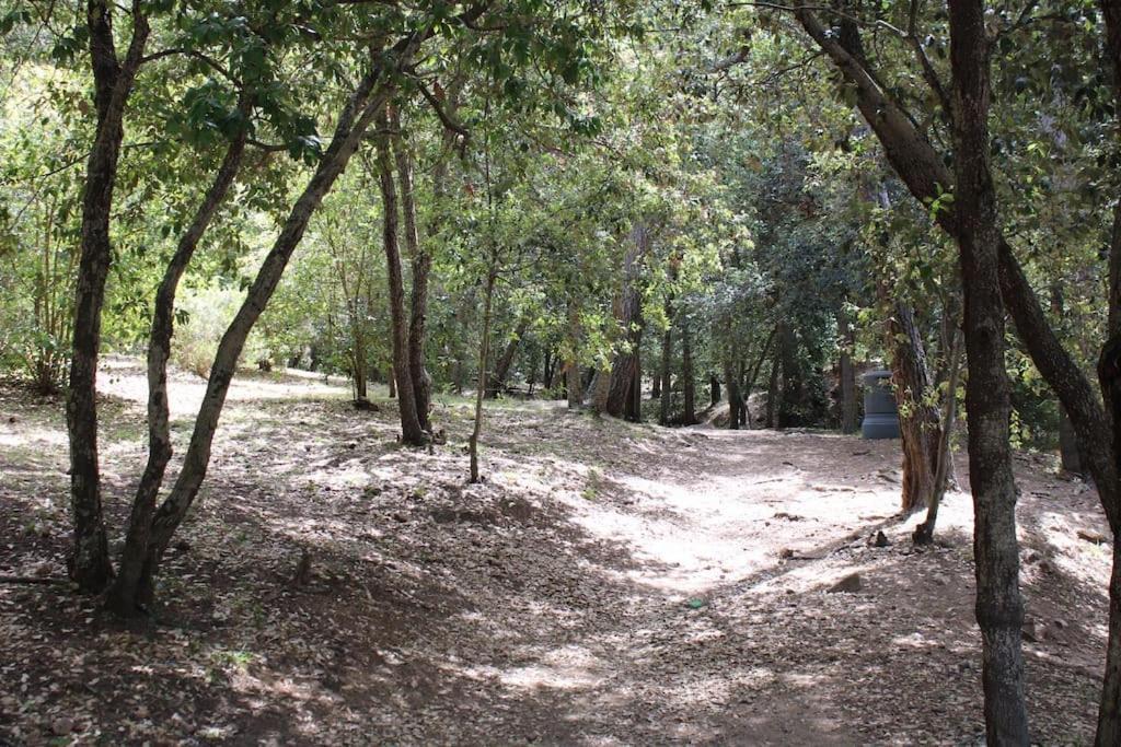 Studio L'Echappee Mandreenne Le Calme Entre Mer Et Foret Saint-Mandrier-sur-Mer Ngoại thất bức ảnh