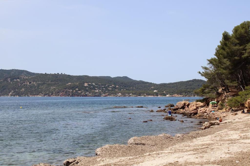 Studio L'Echappee Mandreenne Le Calme Entre Mer Et Foret Saint-Mandrier-sur-Mer Ngoại thất bức ảnh