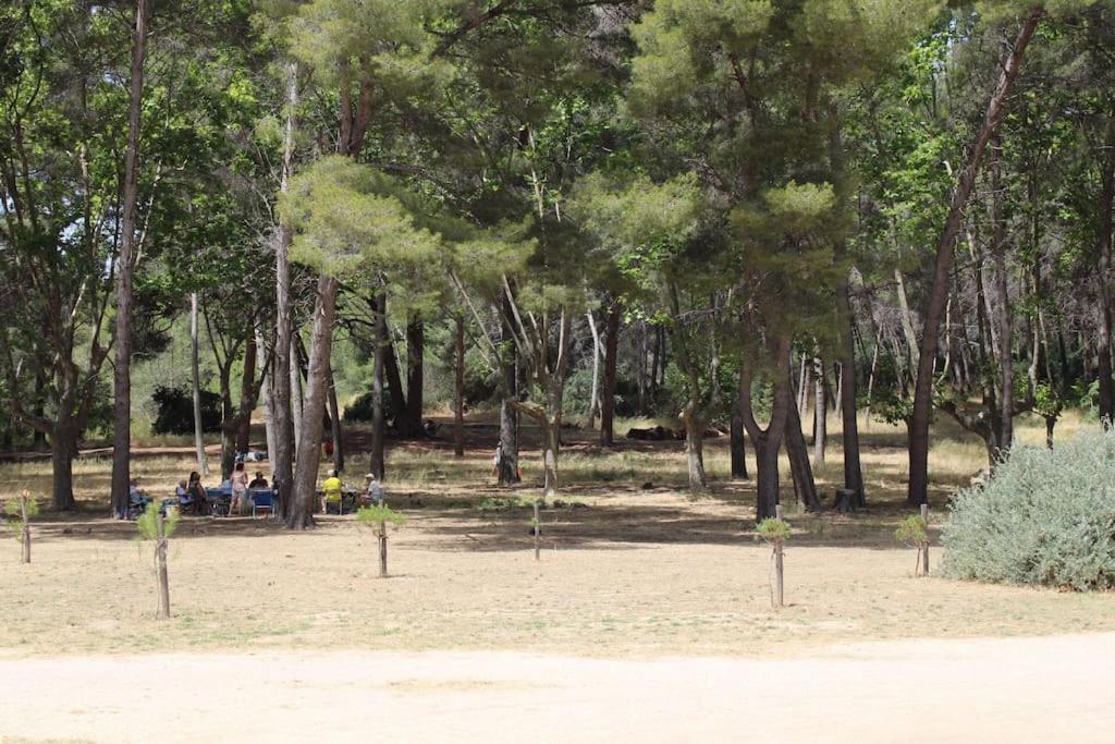 Studio L'Echappee Mandreenne Le Calme Entre Mer Et Foret Saint-Mandrier-sur-Mer Ngoại thất bức ảnh