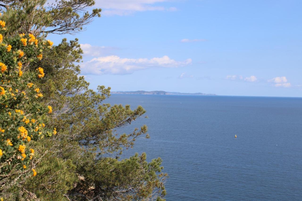Studio L'Echappee Mandreenne Le Calme Entre Mer Et Foret Saint-Mandrier-sur-Mer Ngoại thất bức ảnh